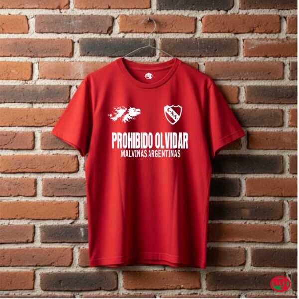 Malvinas y Clubes - Imagen 4