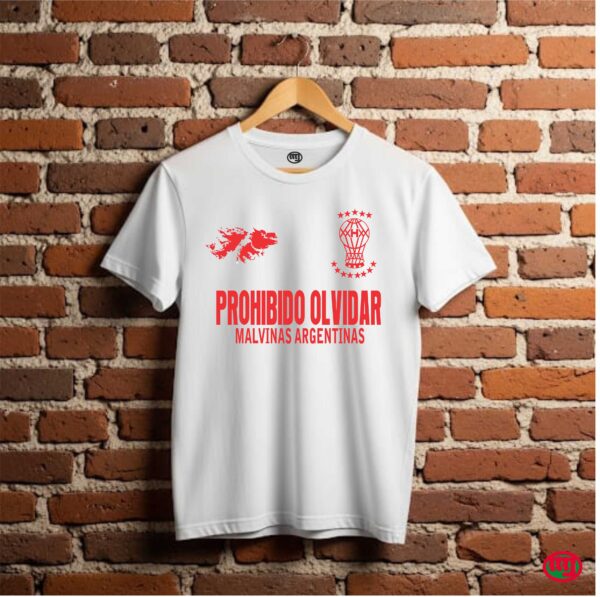 Malvinas y Clubes - Imagen 7